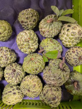 Taze ve olgun Muhallebi Elmaları Hindistan 'da Sita Fal olarak da bilinir.