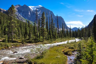 Tapınak geçmek iz banff national park, alberta, Kanada