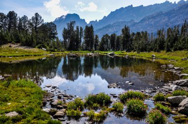 boya fırçası Kanyon iz grand tetons Milli Park, wyoming, 