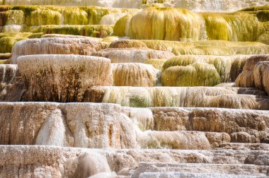 mamut teraslar, yellowstone Milli Parkı, wyoming, ABD
