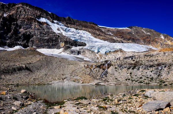 Iceline trail in Yoho National Park along with glaciers, British — Stock Photo, Image