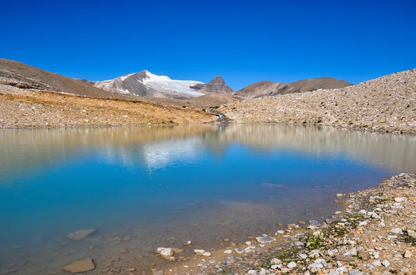 Iceline parcours in yoho national park samen met gletsjers, Britse — Stockfoto