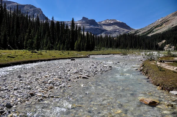 Voda teče ve Skalistých horách, Britská Kolumbie, Kanada — Stock fotografie