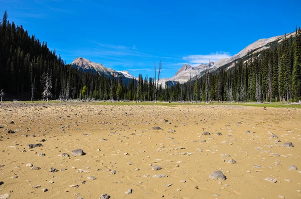 ¿Dónde está el lago? Se secó...! Colombia Británica, Canadá —  Fotos de Stock