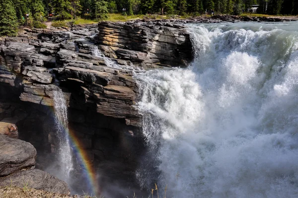 Athabaska falls, alberta, Kanada — Stock fotografie