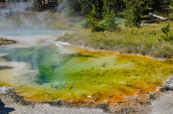 En av de många natursköna landskapen i yellowstone nationalpark, — Stockfoto