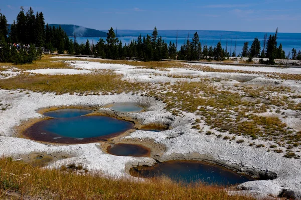 Jedna z mnoha malebných krajin Yellowstonského národního parku, — Stock fotografie