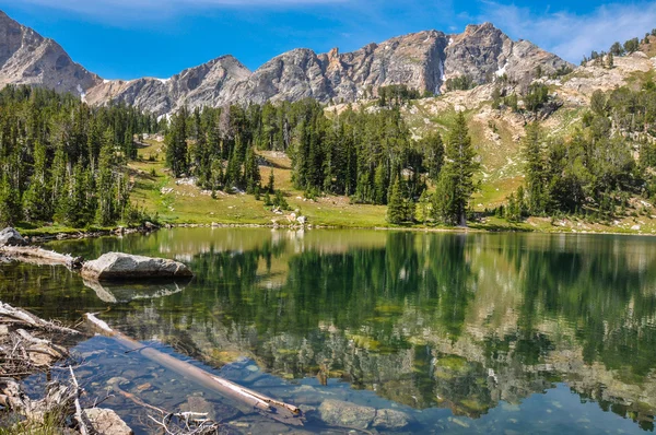 Pędzel kanion szlak w grand park narodowy tetons, wyoming, — Zdjęcie stockowe