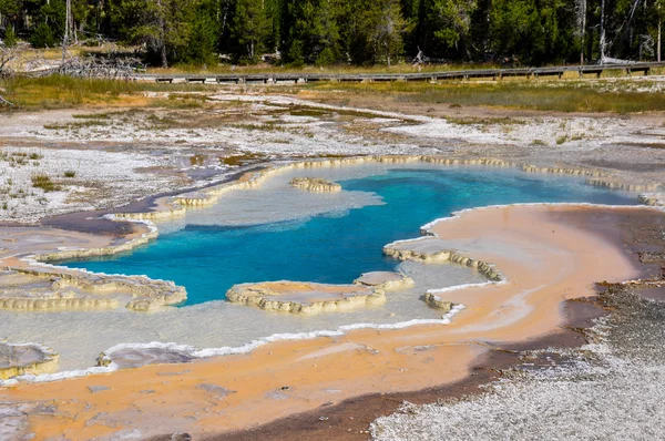 One of the many scenic landscapes of Yellowstone National Park, — Stock Photo, Image