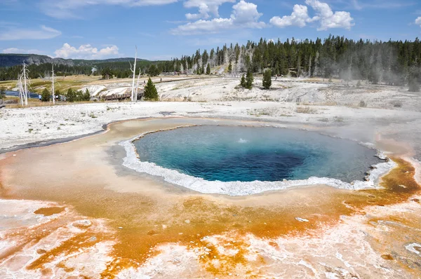 Uma das muitas paisagens cênicas do Parque Nacional de Yellowstone , — Fotografia de Stock