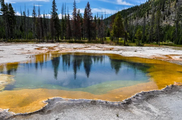 One of the many scenic landscapes of Yellowstone National Park, — Stock Photo, Image