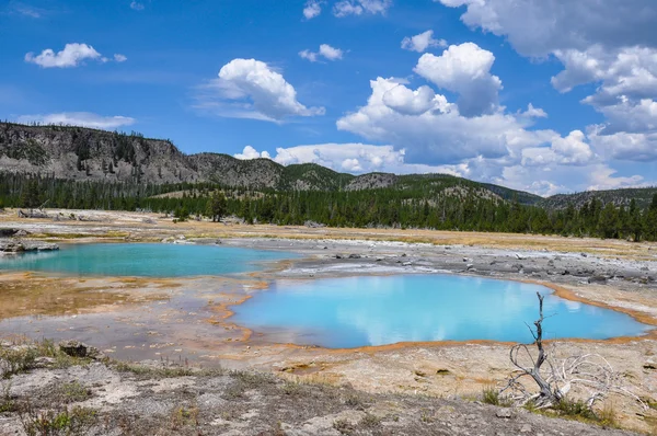 En av de många natursköna landskapen i yellowstone nationalpark, — Stockfoto