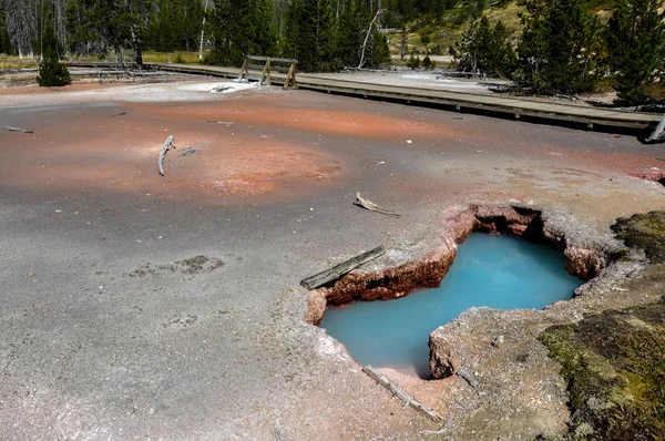 Uma das muitas paisagens cênicas do Parque Nacional de Yellowstone , — Fotografia de Stock