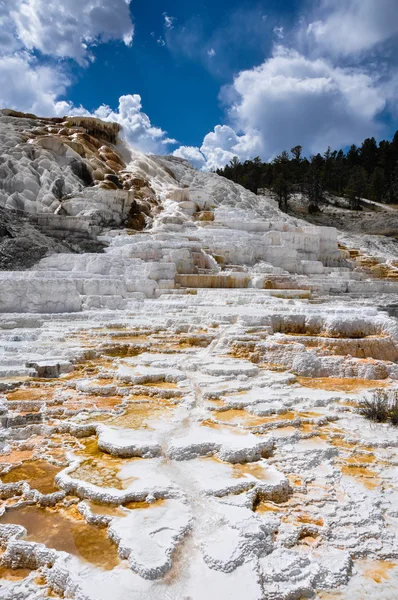 Mammut terrasser, yellowstone national park, wyoming, usa — Stockfoto