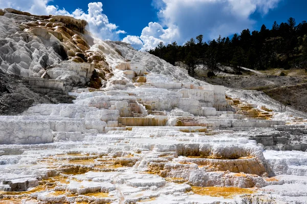 Mammoet terrassen, yellowstone national park, wyoming, Verenigde Staten — Stockfoto