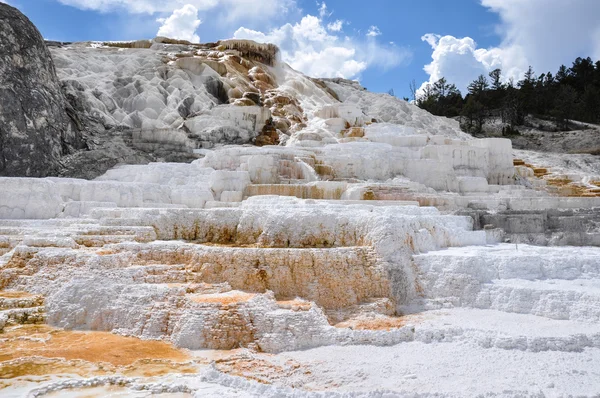 Mammoet terrassen, yellowstone national park, wyoming, Verenigde Staten — Stockfoto