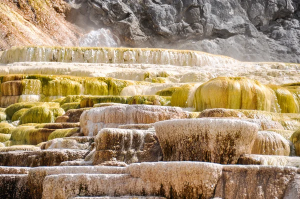 mamut teraslar, yellowstone Milli Parkı, wyoming, ABD