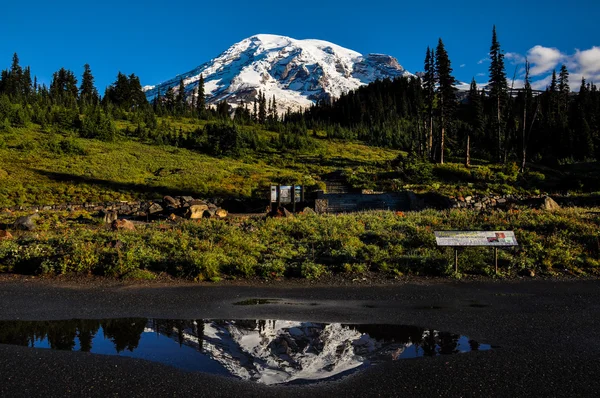 Ráj stezka do národního parku mount rainier, washington, usa — Stock fotografie