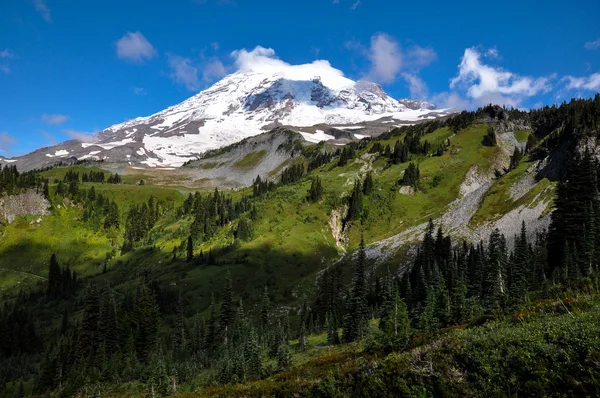 Paradise trail in Mount Rainier National Park, Washington, USA — Stock Photo, Image