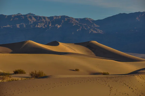 Sand dunes in Death Valley National Park, California, USA — Stock Photo, Image