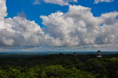 Tikal Harabeleri üzerinde orman, Guatemala