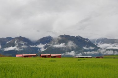 Moray İnka'nın kalıntıları, peru manzara