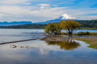 volcan villarrica villarrica kendisi--dan görünüm, Şili