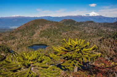 pucon, yakındaki reserva el cani olarak Şili trekking