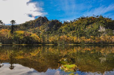 pucon, yakındaki reserva el cani olarak Şili trekking