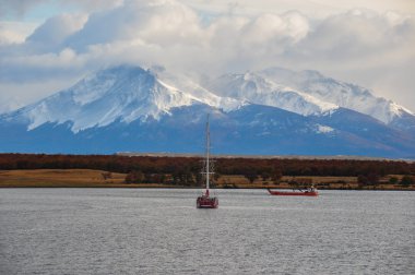 Puerto natales, Güney Şili gelen