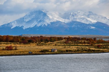 Puerto natales, Güney Şili