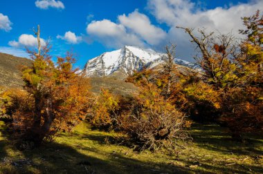 Parque nacional torres del paine, Şili