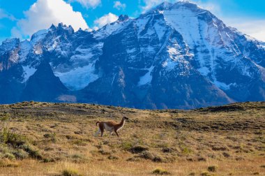 çok da parque nacional torres del paine, Şili