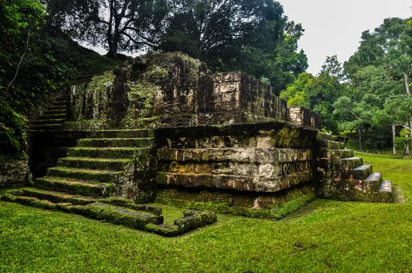 Majestic Tikal Ruins, in Guatemala — Stock Photo, Image