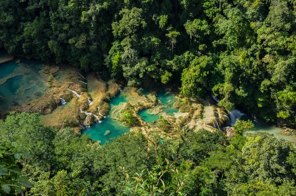 Semuc champey doğal yüzme havuzları, guatemala