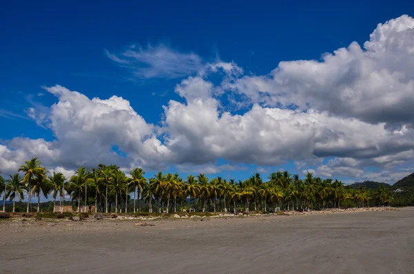 Samara beach, nicoya Yarımadası