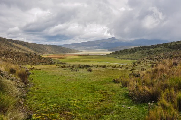 Cotopaxi Nationaalpark, ecuador — Stockfoto