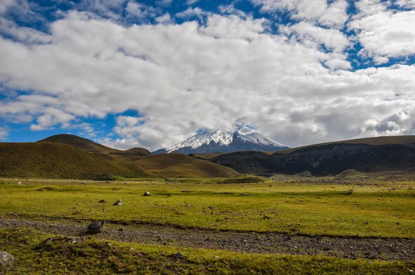 Volkan cotopaxi Milli Park, ecuador — Stok fotoğraf