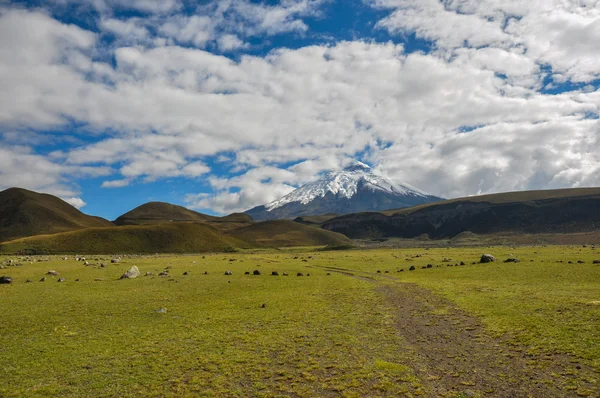 Sopka cotopaxi národním parku, Ekvádor — Stock fotografie