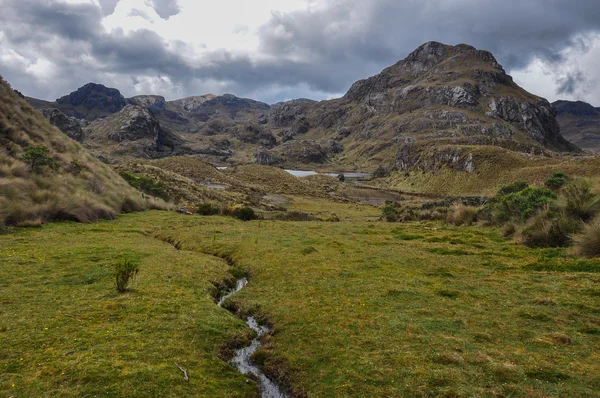 El cajas Milli Parkı, Ekvator üzerinde harika bir manzara — Stok fotoğraf