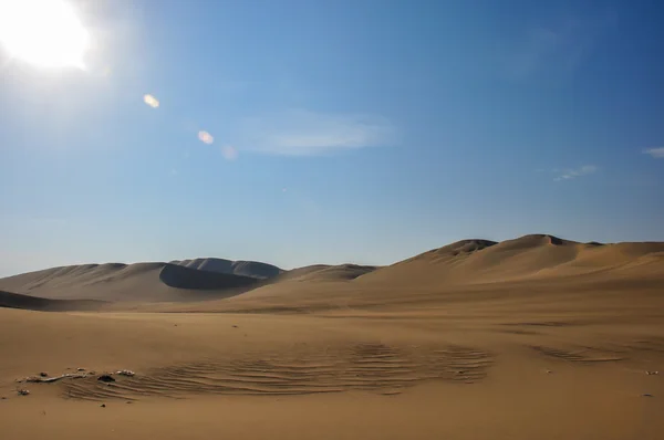 Eenzaam in de woestijn van huacachina, peru — Stockfoto