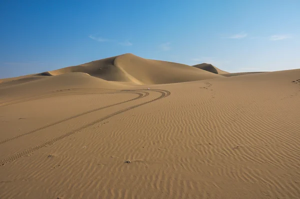 Lonely in the desert of Huacachina, Peru — Stock Photo, Image