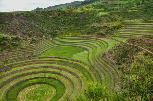 Moray 잉카의 유적, 페루 — 스톡 사진