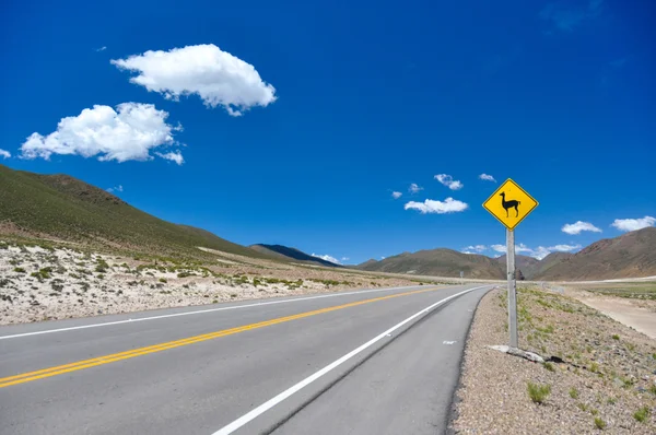 Teken het verkeer: Kijk voor vicuñas!!, bolivia — Stockfoto