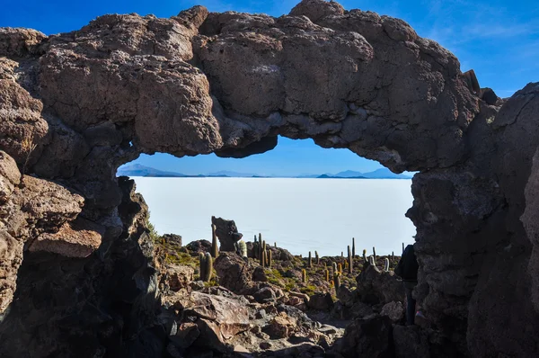 Isla incahuasi (pescadores), salar de uyuni, bolivien — Stockfoto