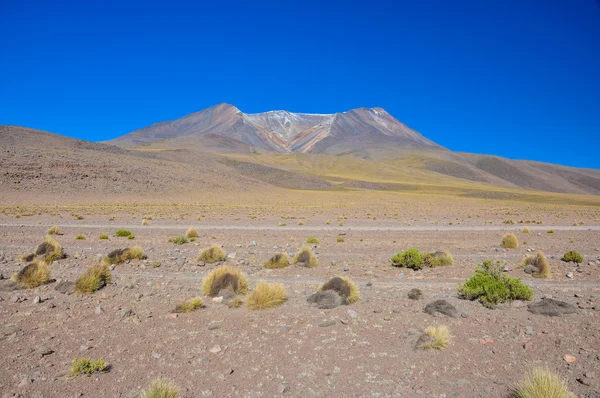 Gorgeous landscapes of Sur Lipez, South Bolivia — Stock Photo, Image
