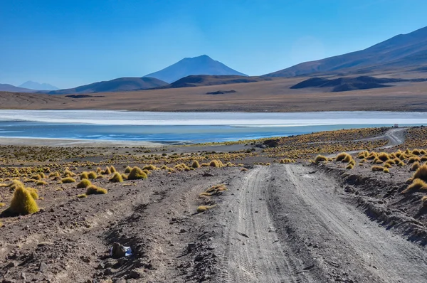 シュル リペス、南ボリビアのゴージャスな景色 — ストック写真