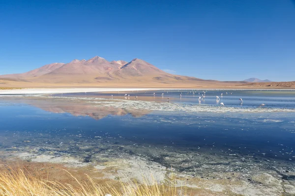 Superbes paysages de Sur Lipez, Sud de la Bolivie — Photo