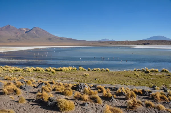Superbes paysages de Sur Lipez, Sud de la Bolivie — Photo