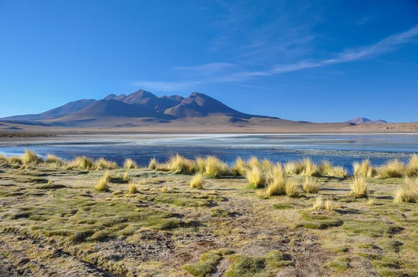 Hermosos paisajes de Sur Lipez, Sur de Bolivia —  Fotos de Stock